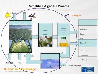 Harvesting Filtration Settling   Water  Biofuels Processing Concentration Preparation Lysing Extraction Biomass  Coproducts Algae Production Biodiesel Biogas JP-8 Ethanol Feeds Fertilizers Others Sunlight Time Make-up water UT Program Simplified Algae Oil Process Nutrients CO2 