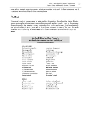 Piñon pine-juniper woodland communities occur on shallow, rocky soils in warm, dry sites.
They often occur on hillsides and mesa tops, and this community will invade sagebrush
shrublands and Great Basin grasslands in the absence of fire. Gravelly substrates with high
levels of calcium and alkaline salts provide the optimum growth medium (Mutel and Emerick
1984). Juniper tolerates drought and soil saturation better than piñon pine, so it is more abundant
at lower elevations. Piñon pine is more cold tolerant and is more prevalent at higher elevations
(Mutel and Emerick 1984). Understory species are less abundant where the woody overstory is
dense, but the graminoid and forb flora is typically rich.

               /0102)?*1@010.(017 2/026 579
               6210/05715102879

                GRAMINOIDS
                Agropyron spicatum                    bluebunch wheatgrass
                Bouteloua curtipendula                sideoats grama
                Bouteloua gracilis                    blue grama
                Elymus elymoides                      bottlebrush squirreltail
                Hilaria jamesii                       galleta (southern Colorado)
                Leymus salinus                        salina wildrye
                Oryzopsis hymenoides                  Indian ricegrass
                Poa fendleriana                       muttongrass
                Poa secunda                           Sandberg bluegrass
                Stipa comata                          needleandthread

                FORBS
                Hymenopappus filifolius               thinleaf hymenopappus
                Leucelene ericoides                   sand aster
                Petradoria pumila                     grassy rockgoldenrod
                Phlox longifolia                      longleaf phlox
                Solidago nemoralis                    gray goldenrod
                Stenotus armerioides                  thrift mock goldenweed
                Tetraneuris ivesiana                  Ive’s fournerved daisy

                TREES AND SHRUBS
                Amelanchier utahensis                 Utah serviceberry
                Artemisia tridentata ssp. vaseyana    mountain sagebrush
                Brickellia californica                brickellbush
                Cercocarpus intricatus                littleleaf mountain mahogany
                Cercocarpus ledifolius                curlleaf mountain mahogany
                Cercocarpus montanus                  true mountain mahogany
                Chrysothamnus viscidiflorus           green rabbitbrush
                Juniperus osteosperma                 Utah juniper
                Lycium pallidum                       pale wolfberry
                Pinus edulis                          Piñon pine
                Purshia tridentata                    antelope bitterbrush
                Ribes cereum                          wax currant
                Symphoricarpos rotundifolius          roundleaf snowberry
                Yucca baccata                         banana yucca (southern counties)
 