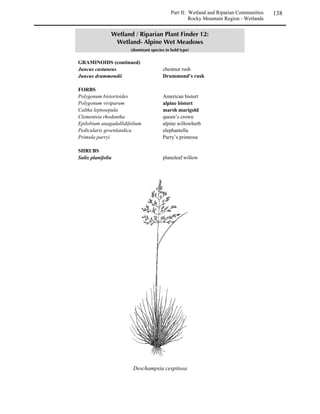 Part I: Upland Communities     71
                                              Revegetation Techniques – Soils



14,*:3/101041C6/B3109
 