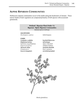 Part I: Upland Communities     74
                                                                 Revegetation Techniques – Soils




   Bulk density is the amount of solid material per unit volume (g/cm3) in the soil.
   A soil with ideal growing conditions contains about 50 percent solid volume and
   50 percent pore volume, with a bulk density of approximately 1.33 g/cm3. A high
   bulk density translates to a greater degree of soil compaction and less developed
   structure.




                         Low bulk density                High bulk density


Soil compaction is the compression of soil particles. As soil compacts, particles move closer
together and the soil volume has fewer air spaces. This is often the result of too many passes of
heavy machinery or excessive foot traffic. Neither water nor roots can move readily into and
through severely compacted soils. Seeds will sit on top of the soil and be vulnerable to wind,
water, the sun’s heat and hungry birds or ants.

Soil structure develops over time as the soil itself develops. A loss of soil structure reduces the
ability of water to percolate and of air to move in and out of soils between the plant roots and the
air spaces within the soil. The greatest danger to soil structure during a restoration project is soil
compaction. This usually occurs when heavy equipment is driven over the soil too many times
during the course of a project. With each pass, soil particles are compressed and air spaces are
reduced. Compaction can also occur in small projects if many people repeatedly walk over the
same area. Soil structure may also be damaged by improper seedbed preparation or poor topsoil
salvage methods. Use the methods described in the Site Preparation section beginning on the
next page to avoid destroying soil structure.
 
