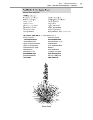 What is the purpose of your planting project? The answer to this question will
  *
             determine your choice of plant species, planting techniques, and methods for long
term maintenance of the area.


                   POSSIBLE REASONS TO ESTABLISH NATIVE PLANTINGS


               Designing an aesthetic landscape for a home, business or park
                              Reclaiming a heavily disturbed site
                 Blending a utility line trench with an otherwise natural setting
                       Planting an area that will sustain heavy foot traffic
                        Planting for weed control near a reservoir edge
                    Restoring the vegetation along newly constructed trail
                                   Planting to prevent erosion



              Read the Plant Basics section (beginning on page 7) which defines terms used
 +*      throughout this manual. Understanding these terms will help you decide what
kinds of plants and growth forms to select for specific projects and will help you discuss your
project with experts.

              Proceed to the Natural Communities section (beginning on page 11).
 )*

   1. Determine your site’s geographic                          VEGETATION TYPES
      setting. Choose from: Eastern               Grasslands (and Meadows) – Graminoids (grasses,
      Plains and Foothill Region, Rocky           rushes, and sedges) are the most common and
      Mountain Region, or Western                 obvious vegetation. Forbs (wildflowers) and a few
      Plateau and Canyon Region.                  shrubs or trees may be present.
   2. Under the appropriate section,              Shrublands - Shrubs are the most common and the
      determine the vegetation type that          most obvious vegetation. Graminoids, forbs or bare
      best describes the site. Choose             ground may cover the understory. There may be a
      from grassland, shrubland,                  few trees present.
      woodland, forest, riparian, or              Woodlands – Trees are the most obvious vegetation,
      wetland (see box).                          but they are widely spaced. Canopy cover is usually
                                                  less than 40 percent. Graminoids, forbs or shrubs
   3. Finally, select the appropriate
                                                  may be present in the understory.
      natural community, such as                  Forests – Trees are the most obvious vegetation.
      shortgrass prairie, mixed foothills         They are closely spaced, and canopy cover is greater
      shrubland, or piñon-juniper                 than 40 percent. Graminoids, forbs or shrubs make
      woodland.                                   up the understory.
                                                  Wetland – The site has or is adjacent to standing
 Some habitat types are especially               water or has soils that are wet all or most of the year.
   challenging for revegetation projects.         Riparian – The site is along the banks of a stream or
   If your project is in or near alpine           river.
 