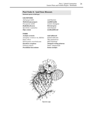 Seasonal growth patterns are important considerations, especially for grass plantings. Two general
patterns are recognized – cool season and warm season.

Cool season graminoids begin their growth in late winter and        Planting a mixture of both warm
early spring and bloom in the early summer. They may enter             and cool season grasses
dormancy during summer heat and resume growth or even               provides robust year-long cover
bloom again in the fall if adequate moisture is available.           and visual interest from spring
                                                                                  to fall.
Warm season graminoids begin their growth in late spring or
early summer and bloom in late summer or early fall, usually entering dormancy with the onset of
winter.
 