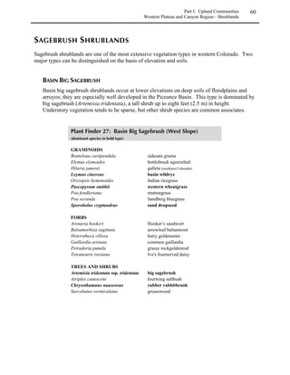 Woodlands occur in the foothills zone and where canyons on the plains create foothills-like
conditions. They are characterized by having one or more species of small trees – oneseed
juniper, Rocky Mountain juniper, piñon pine, or limber pine – dominant in the topmost layer of
vegetation. Because these trees require more moisture and deeper soils than shrubs or grasses,
woodland communities are restricted to rocky, mesic sites in draws and north-facing escarpments
below 6000 feet (1829 m), and dry slopes among ponderosa pine and Douglas-fir communities
above 6000 feet. Fire converts woodland communities to grasslands or shrublands; very old
woodland communities are rare except in rocky areas which are protected from fire.



                                Notes on woodland projects
   Woodland sites alternate over time between woodland, shrubland, and grassland
   vegetation, depending on the climate and the frequency and intensity of the fire regime.
   After intense fire, grasses replace all or some of the trees. Over time, shrubs replace
   grasses. Eventually, trees again become the dominant vegetation.

   In natural settings, unless the soil has been seriously disturbed or weeds are abundant,
   woodlands will regenerate without intervention. Erosion control and weed management
   may be sufficient to restore woodlands after disturbance. Planting in woodland sites can
   be very difficult due to rocky soils. Short-term reestablishment of visually dominant
   amounts of woody cover is likely to require nursery stock planting and mulching, caging,
   and irrigation of those plants.

   For more information on woodlands, see Shaw et al. 1994, Covington 1996, and Howell
   1986.
 