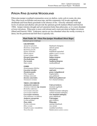 Piñon pine-juniper woodlands occur in draws, on escarpments and mesas, and on rocky hillsides.
These woodlands are best developed between 5,000 and 7,000 feet (1524-2134 m), but localized
environmental conditions may allow them to occur at lower elevations on the plains and up to
9,000 feet (2743 m) in the montane zone. Sites occupied by piñon-juniper woodlands are
typically warm, dry and windy. Annual precipitation ranges from 12 to 18 inches (30-46 cm).
Trees tend to be short and widely spaced. Either piñon or juniper may dominate; generally
juniper is more abundant at the lower end of the elevational range. Piñon pine, being better
adapted to cold conditions is typically more abundant at higher elevations. In southern counties,
the community includes one-seeded juniper and piñon in the overstory and wavyleaf or
Gambel’s oak, apache plume, and candelabra cactus in the understory. North of Colorado
Springs, Rocky Mountain juniper may replace one-seeded juniper and piñon pine becomes less
common; understory species include skunkbush, rabbitbrush, bitterbrush, and mountain
mahogany. Throughout the range of this community type, grass and forb cover is inversely
proportional to the density of the piñon and juniper.



                /0102?*1@010.(017 2/02
                6210/05715102879


                GRAMINOIDS
                Bouteloua curtipendula                 sideoats grama
                Bouteloua gracilis                     blue grama
                Elymus elymoides                       bottlebrush squirreltail
                Lycurus phleoides                      common wolfstail
                Oryzopsis hymenoides                   Indian ricegrass
                Oryzopsis micrantha                    littleseed ricegrass
                Poa fendleriana                        muttongrass
                Schizachyrium scoparium                little bluestem
                Stipa comata                           needleandthread
                Stipa neomexicana                      New Mexico needlegrass

                FORBS
                Arenaria hookeri                       Hooker’s sandwort
                Castilleja linariifolia                Wyoming Indian paintbrush
                Heterotheca villosa                    hairy goldenaster
                Hymenopappus filifolius                fineleaf hymenopappus
                Mirabilis multiflora                   Colorado four o’clock (south of Denver)
                Solidago velutina                      velvety goldenrod
                Tetraneuris acaulis                    stemless hymenoxys

                TREES AND SHRUBS
                Amelanchier alnifolia                  Saskatoon serviceberry
                Artemisia tridentata                   big sagebrush
                Cercocarpus montanus                   true mountain mahogany
                Chrysothamnus nauseosus                rubber rabbitbrush
                Holodiscus dumosus                     rock spirea
                Juniperus monosperma                   oneseed juniper
 