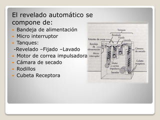 El revelado automático se
compone de:
 Bandeja de alimentación
 Micro interruptor
 Tanques:
-Revelado –Fijado –Lavado
 Motor de correa impulsadora
 Cámara de secado
 Rodillos
 Cubeta Receptora
 