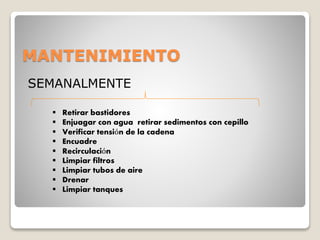 MANTENIMIENTO
SEMANALMENTE
 Retirar bastidores
 Enjuagar con agua retirar sedimentos con cepillo
 Verificar tensión de la cadena
 Encuadre
 Recirculación
 Limpiar filtros
 Limpiar tubos de aire
 Drenar
 Limpiar tanques
 