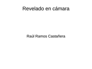 Revelado en cámara
Raúl Ramos Castañera
 
