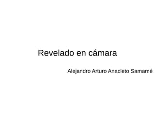 Revelado en cámara
Alejandro Arturo Anacleto Samamé
 