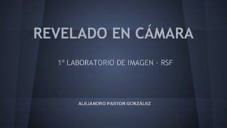 REVELADO EN CÁMARA 
1º LABORATORIO DE IMAGEN - RSF 
ALEJANDRO PASTOR GONZÁLEZ 
 