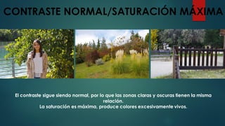 CONTRASTE NORMAL/SATURACIÓN MÁXIMA
El contraste sigue siendo normal, por lo que las zonas claras y oscuras tienen la misma
relación.
La saturación es máxima, produce colores excesivamente vivos.
 