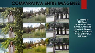 COMPARATIVA ENTRE IMÁGENES
CONTRASTE
NORMAL.
LA SATURACIÓN
CAMBIA, PRIMERO
ESTÁ LA NORMAL,
LUEGO LA MÁXIMA
Y POR ÚLTIMO LA
MÁXIMA.
 