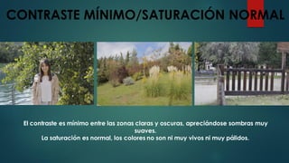 CONTRASTE MÍNIMO/SATURACIÓN NORMAL
El contraste es mínimo entre las zonas claras y oscuras, apreciándose sombras muy
suaves.
La saturación es normal, los colores no son ni muy vivos ni muy pálidos.
 