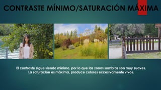 CONTRASTE MÍNIMO/SATURACIÓN MÁXIMA
El contraste sigue siendo mínimo, por lo que las zonas sombras son muy suaves.
La saturación es máxima, produce colores excesivamente vivos.
 
