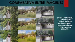 COMPARATIVA ENTRE IMÁGENES
CONTRASTE MÍNIMO.
LA SATURACIÓN
CAMBIA, PRIMERO
ESTÁ LA NORMAL,
LUEGO LA MÁXIMA
Y POR ÚLTIMO LA
MÁXIMA.
 