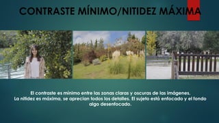 CONTRASTE MÍNIMO/NITIDEZ MÁXIMA
El contraste es mínimo entre las zonas claras y oscuras de las imágenes.
La nitidez es máxima, se aprecian todos los detalles. El sujeto está enfocado y el fondo
algo desenfocado.
 