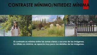 CONTRASTE MÍNIMO/NITIEDEZ MÍNIMA
El contraste es mínimo entre las zonas claras y oscuras de las imágenes.
La nitidez es mínima, se aprecia muy poco los detalles de las imágenes.
 