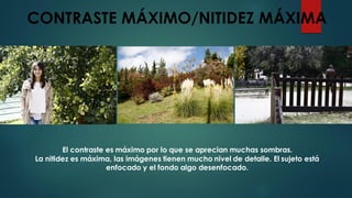 CONTRASTE MÁXIMO/NITIDEZ MÁXIMA
El contraste es máximo por lo que se aprecian muchas sombras.
La nitidez es máxima, las imágenes tienen mucho nivel de detalle. El sujeto está
enfocado y el fondo algo desenfocado.
 