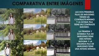 COMPARATIVA ENTRE IMÁGENES
LAS DOS PRIMERAS
FILAS DE IMÁGENES
TIENEN UN
CONTRASTE MÍNIMO
Y LA ÚLTIMA FILA
TIENE UN CONTRASTE
MÁXIMO.
LA PRIMERA Y
ÚLTIMMA FILA DE
IMÁGENES TIENE
UNA NITIDEZ
MÁXIMA Y LA
SEGUNDA FILA DE
IMÁGENES TIENE
UNA NITIDEZ MÍNIMA
 