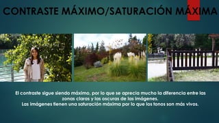 CONTRASTE MÁXIMO/SATURACIÓN MÁXIMA
El contraste sigue siendo máximo, por lo que se aprecia mucho la diferencia entre las
zonas claras y las oscuras de las imágenes.
Las imágenes tienen una saturación máxima por lo que los tonos son más vivos.
 
