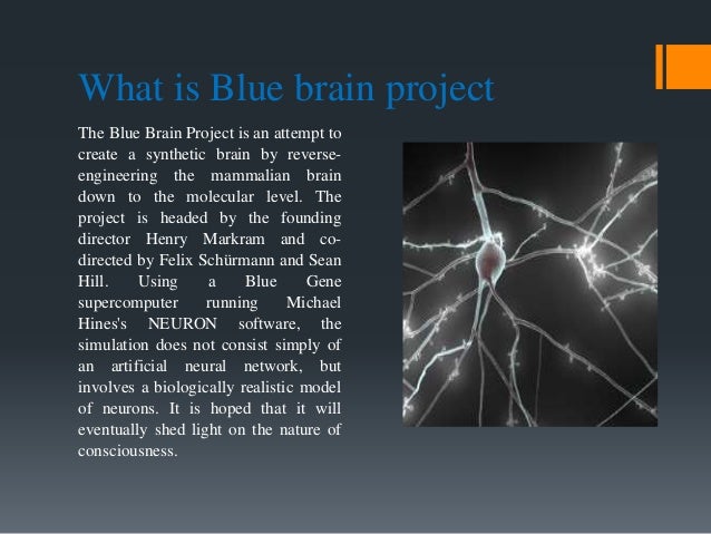 Blue brain Project