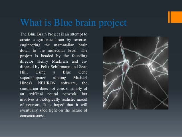 What Is Blue Brain Project? : The Human Brain Project Hasn’t Lived Up ...