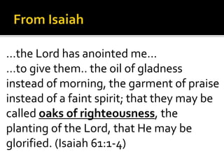 …the Lord has anointed me…
…to give them.. the oil of gladness
instead of morning, the garment of praise
instead of a faint spirit; that they may be
called oaks of righteousness, the
planting of the Lord, that He may be
glorified. (Isaiah 61:1-4)
 
