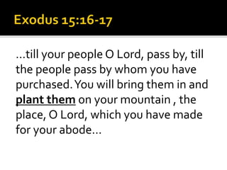 …till your people O Lord, pass by, till
the people pass by whom you have
purchased.You will bring them in and
plant them on your mountain , the
place, O Lord, which you have made
for your abode…
 