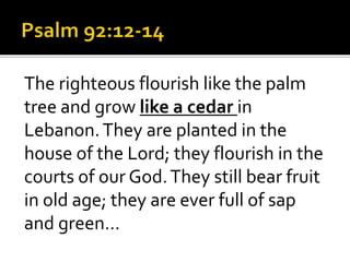 The righteous flourish like the palm
tree and grow like a cedar in
Lebanon.They are planted in the
house of the Lord; they flourish in the
courts of our God.They still bear fruit
in old age; they are ever full of sap
and green…
 