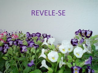 REVELE-SE 