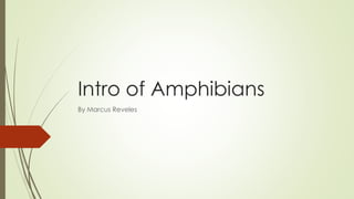 Intro of Amphibians
By Marcus Reveles
 
