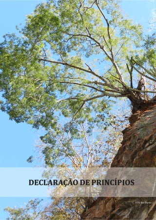 APRESENTAÇÃO
21
UTE Rio Pardo
DECLARAÇÃO DE PRINCÍPIOS
 