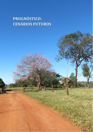 CARACTERIZAÇÃO DA BACIA
75
PROGNÓSTICO:
CENÁRIOS FUTUROS
UTE Peixe Bravo
 