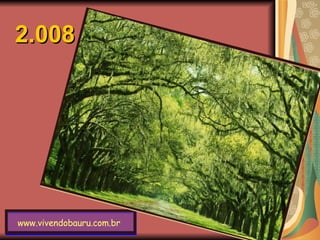 www.vivendobauru.com.br   2.008 
