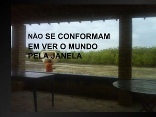 NÃO  SE CONFORMAM EM VER O MUNDO PELA JANELA 