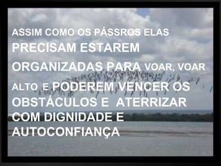 ASSIM COMO OS PÁSSROS ELAS   PRECISAM ESTAREM ORGANIZADAS PARA  VOAR, VOAR ALTO   E   PODEREM   VENCER OS OBSTÁCULOS E  ATERRIZAR COM DIGNIDADE E AUTOCONFIANÇA 