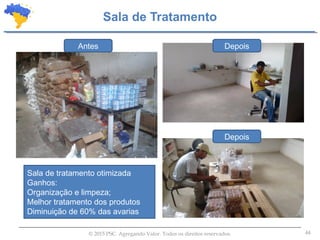 44© 2015 PSC. Agregando Valor. Todos os direitos reservados.
Sala de Tratamento
Antes
Sala de tratamento otimizada
Ganhos:
Organização e limpeza;
Melhor tratamento dos produtos
Diminuição de 60% das avarias
Depois
Depois
 