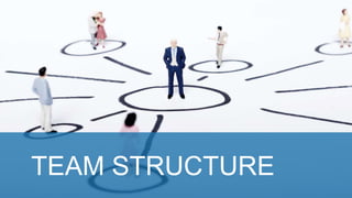TEAM STRUCTURE
 