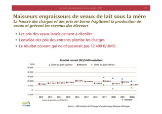 Revenus des exploitations bovins viande 2022.pdf