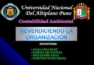 Universidad Nacional Del Altiplano Puno 