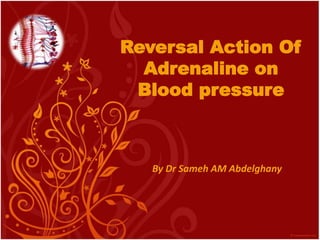 Reversal Action Of
Adrenaline on
Blood pressure
By Dr Sameh AM Abdelghany
 