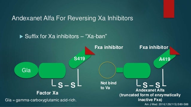 andexanet alfa andexanet alfa