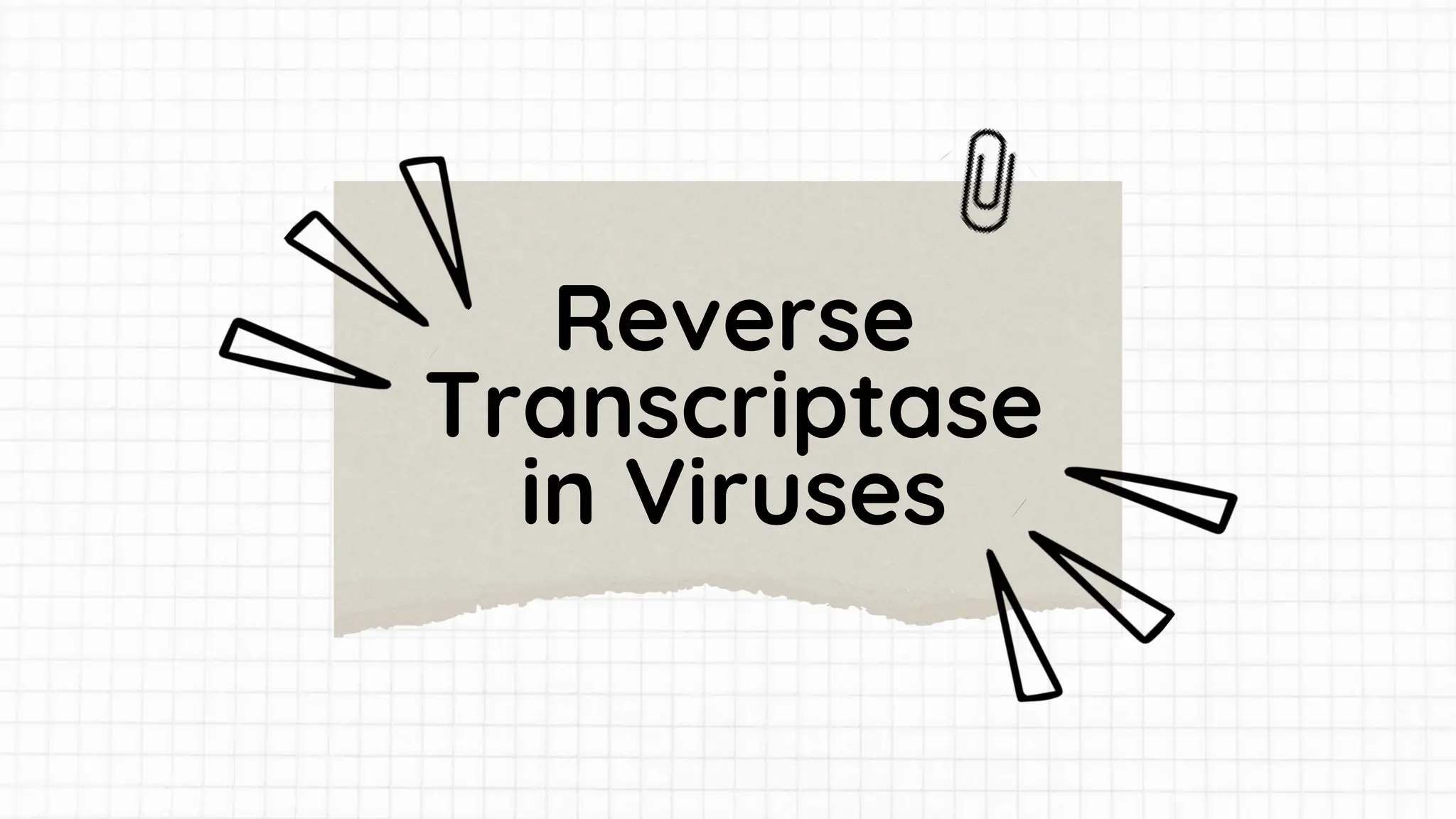Reverse
Transcriptase
in Viruses