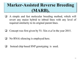 Marker-Assisted Reverse Breeding
(MARB),
 A simple and fast molecular breeding method, which will
revert any maize hybrid...