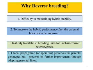 Why Reverse breeding?
1. Difficulty in maintaining hybrid stability.
2. To improve the hybrid performance first the parent...