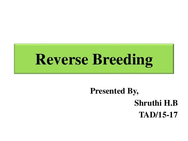 bred reverse