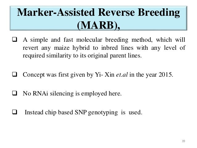 bred reverse