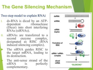 Reverse Breeding: a tool to create homozygous plants from the ...