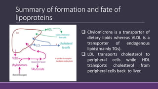 Summary of formation and fate of
lipoproteins
 Chylomicrons is a transporter of
dietary lipids whereas VLDL is a
transporter of endogenous
lipids(mainly TGs).
 LDL transports cholesterol to
peripheral cells while HDL
transports cholesterol from
peripheral cells back to liver.
 