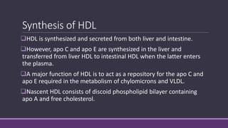 Synthesis of HDL
HDL is synthesized and secreted from both liver and intestine.
However, apo C and apo E are synthesized in the liver and
transferred from liver HDL to intestinal HDL when the latter enters
the plasma.
A major function of HDL is to act as a repository for the apo C and
apo E required in the metabolism of chylomicrons and VLDL.
Nascent HDL consists of discoid phospholipid bilayer containing
apo A and free cholesterol.
 