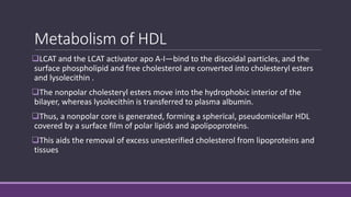 Metabolism of HDL
LCAT and the LCAT activator apo A-I—bind to the discoidal particles, and the
surface phospholipid and free cholesterol are converted into cholesteryl esters
and lysolecithin .
The nonpolar cholesteryl esters move into the hydrophobic interior of the
bilayer, whereas lysolecithin is transferred to plasma albumin.
Thus, a nonpolar core is generated, forming a spherical, pseudomicellar HDL
covered by a surface film of polar lipids and apolipoproteins.
This aids the removal of excess unesterified cholesterol from lipoproteins and
tissues
 